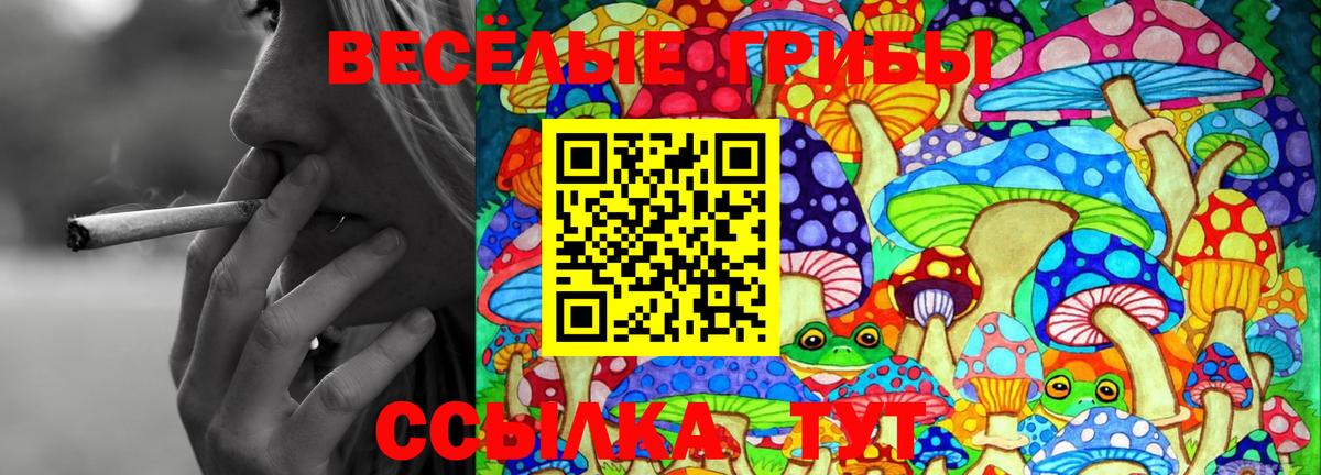 Галлюциногенные грибы ЛСД Углич