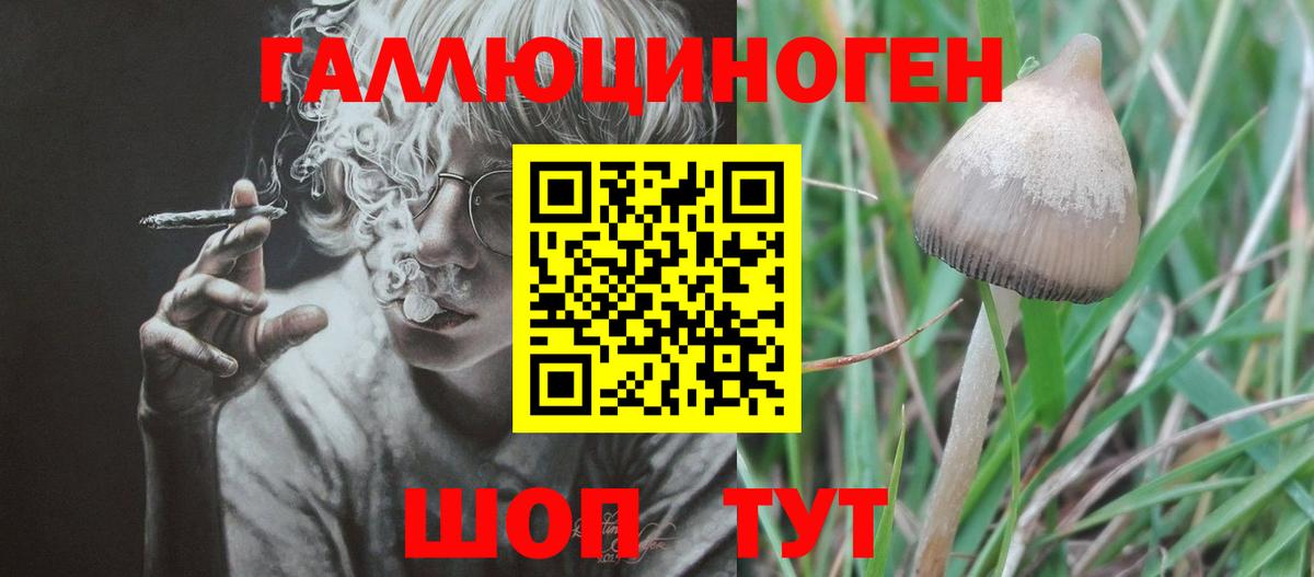 Псилоцибиновые грибы Cubensis  Вход с VPN  Углич 